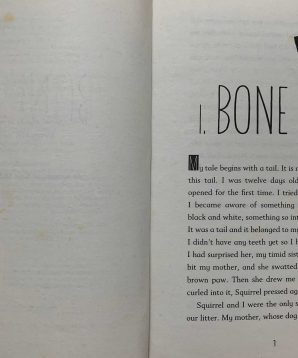 Alternative view of Everything for a dog