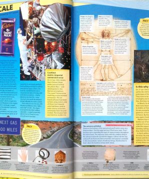 Alternative view of Guinness world records 2016