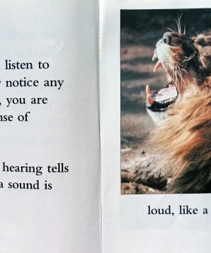 Alternative view of Hearing things