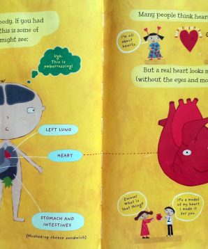 Alternative view of Henry's heart