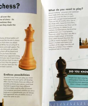 Alternative view of How to play chess and win