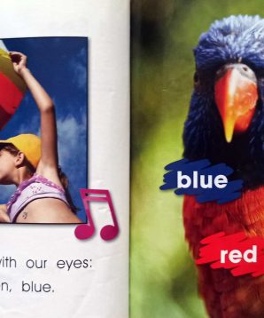 Alternative view of I see, sing and read