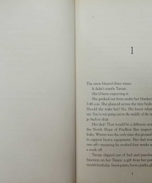 Alternative view of Ice island