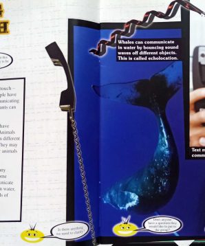 Alternative view of Keeping in touch