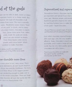 Alternative view of The Usborne little book of chocolate