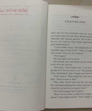 Alternative view of Lost on Brier Island