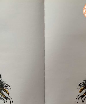 Alternative view of Mirror