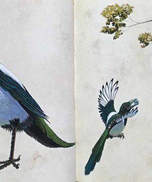 Alternative view of More