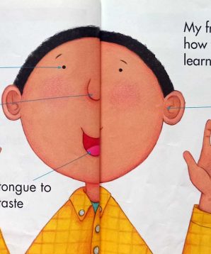 Alternative view of My five senses