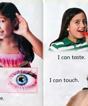 Alternative view of My senses help me