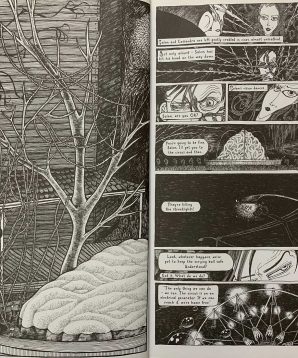 Alternative view of Salem Brownstone: all along the watchtowers