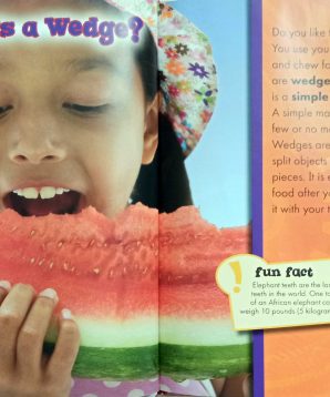 Alternative view of Simple machines: wedges