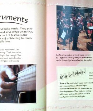 Alternative view of Stringed instruments