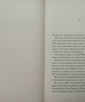 Alternative view of There is no dog