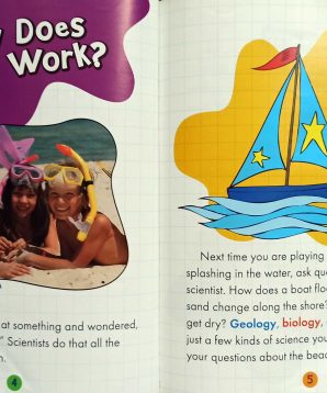 Alternative view of Think like a scientist at the beach