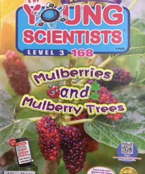 The Young Scientists level 3 issue 168: Mulberries and mulberry trees