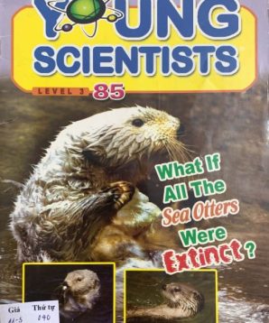 The Young Scientists level 3 issue 85: What if all the sea otters were extinct?